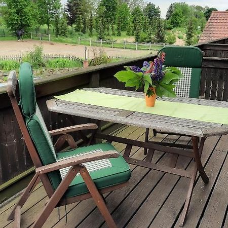 Schoenermarker Pferdeparadies Niederlandin エクステリア 写真
